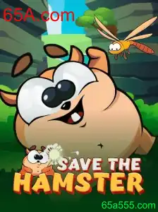 SavetheHamster: Um Jogo Inovador para Todas as Idades